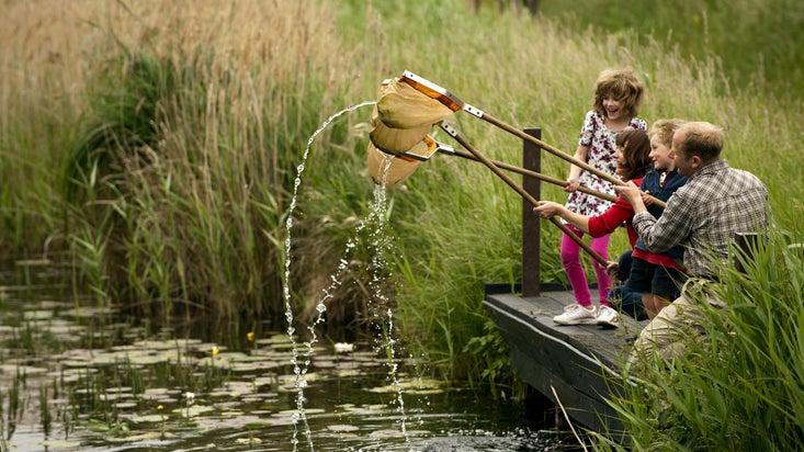 Members of a family take part in pond dipping at Wicken Fen National Nature Reserve, Cambridgeshire